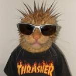 Emilio Villasenor Profile Picture