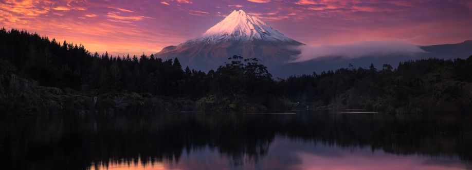 Arielle McCarthy Cover Image
