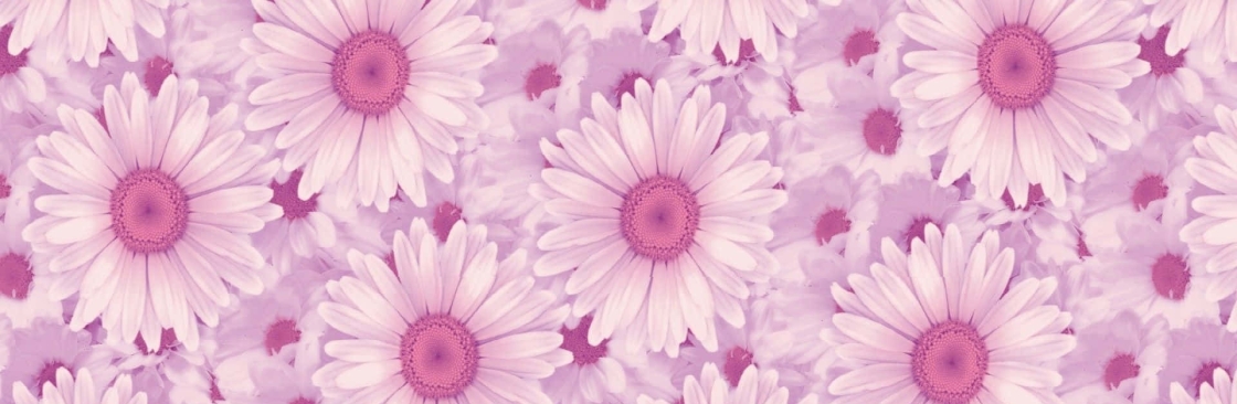 sadie Cover Image