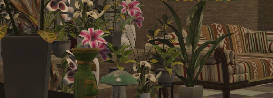 Sanctum | Herbs  Bloom Cover Image