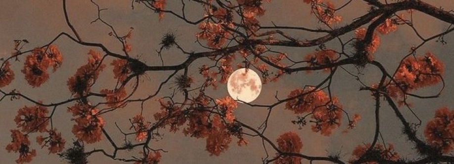 Selene Cover Image