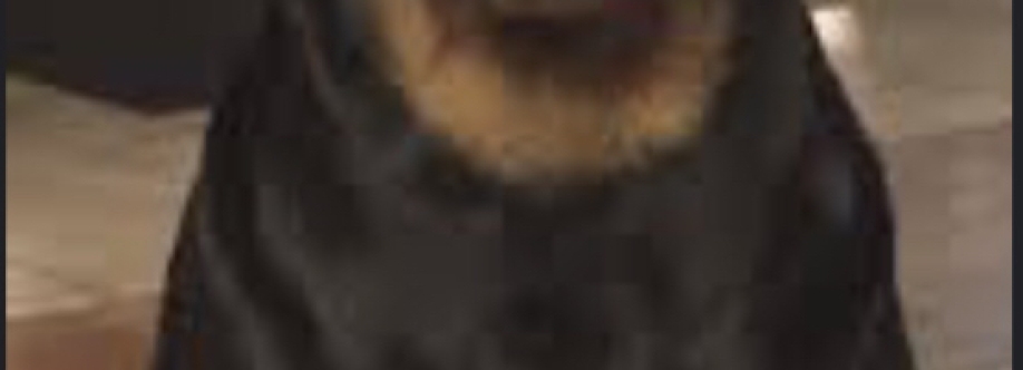 Benjamin Franklin Miles Cover Image