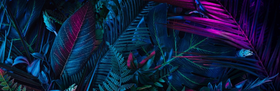 Rosalie W Cover Image